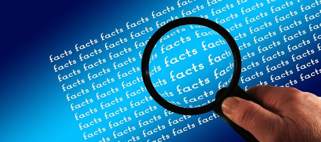 magnifying glass, facts, investigate, research, backgrounds, news, information, newsletter, to blog, text, report, to report, reporter, journalists, communication, truth, facts, facts, facts, facts, facts, research